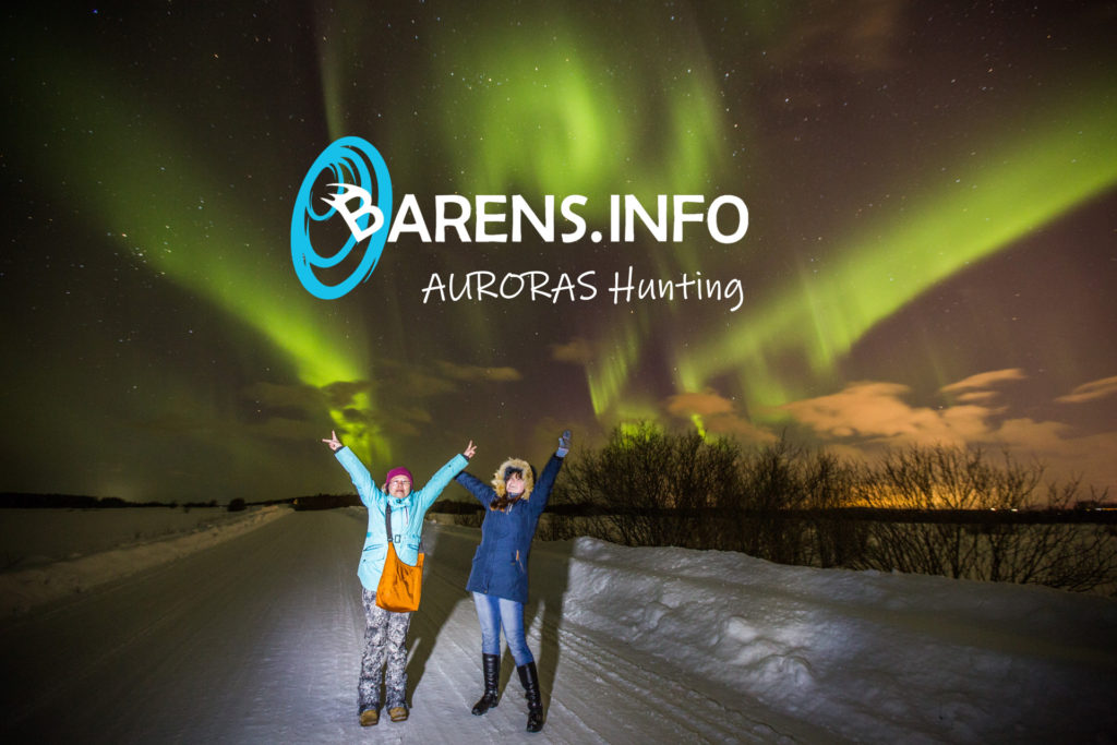 Northern lights tours in Murmansk